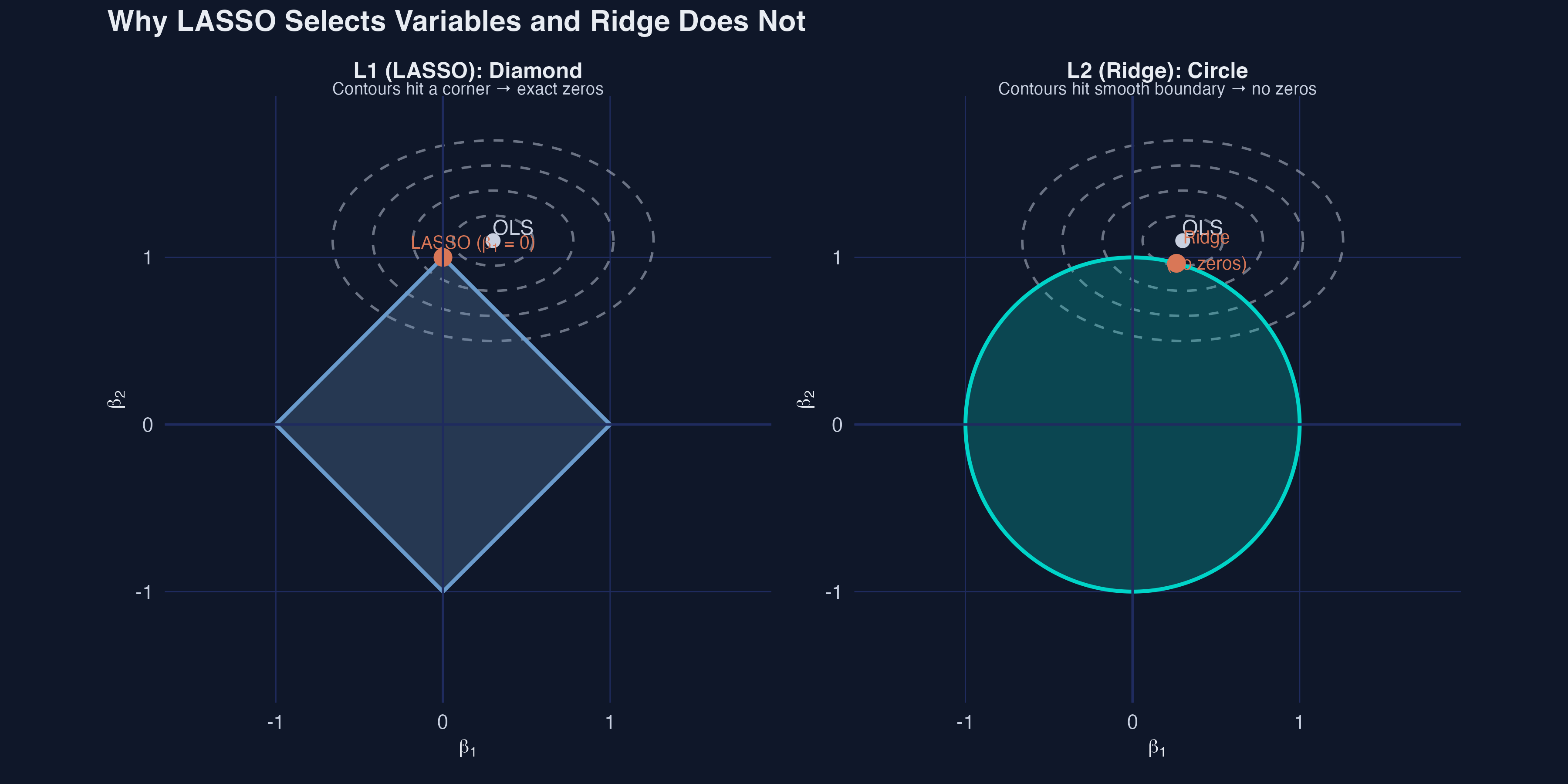 Side-by-side comparison of L1 and L2 constraint geometry. Left panel shows the LASSO diamond where OLS contours hit a corner, setting beta-1 to exactly zero. Right panel shows the Ridge circle where contours hit a smooth boundary, producing no exact zeros.
