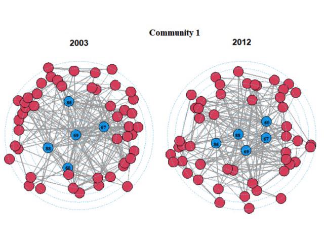 Sectoral productivity convergence, input-output structure, and network communities in Japan