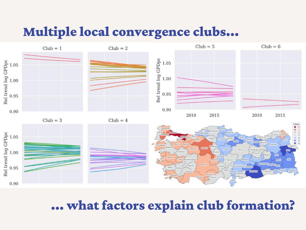 Regional income convergence and conditioning factors in Turkey